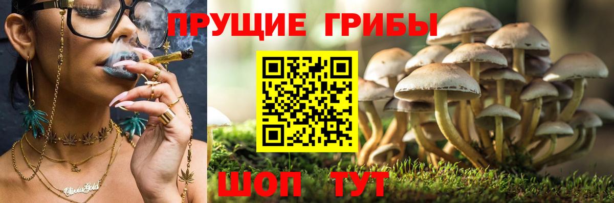 Красноуфимск  как найти закладки  Вход с VPN  Псилоцибиновые грибы MAGIC MUSHROOMS  Галлюциногенные грибы мицелий 